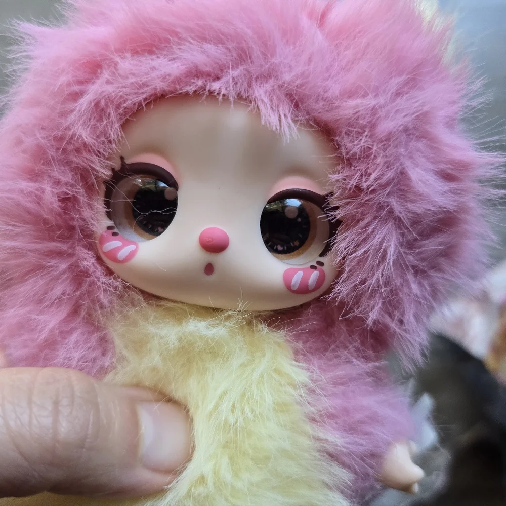 Liilas chef kitten - Picture 5 of 10